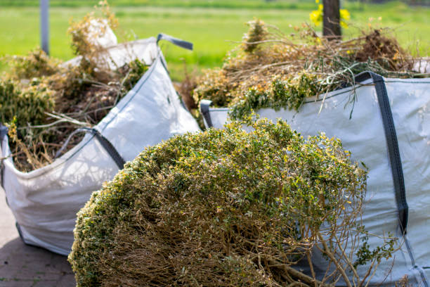  Easton, CA Junk Removal Pros