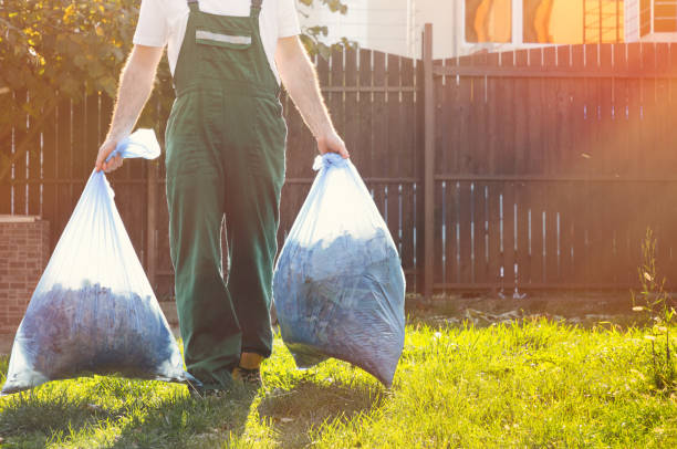 Yard Cleanup Services in Easton, CA